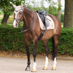 Tapis de selle Euro-Star Cato DR Tundra Beige
