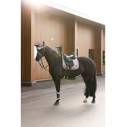 Vliegennetje Imperial Riding Lovely Cappuccino Bruin