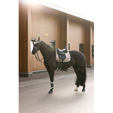 Vliegennetje Imperial Riding Lovely Cappuccino Bruin