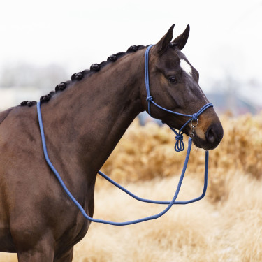 Halter touw Imperial Riding Ambient Saffier Blauw