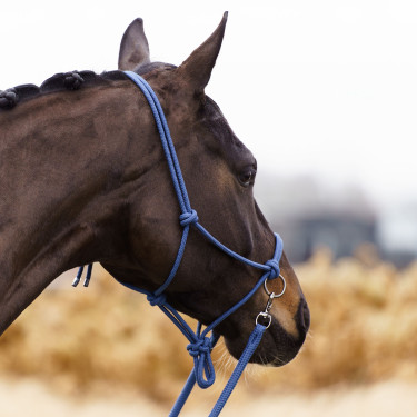 Licol corde Imperial Riding Ambient Licol corde Imperial Riding Ambient