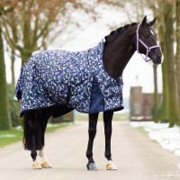 Paddockdeken Imperial Riding Pandora 0gr Lovefetti donker Motieven Paddockdeken Imperial Riding Pandora 0gr Lovefetti donker Motieven