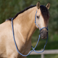 Halter touw Imperial Riding Ambient Maansteen Oranje