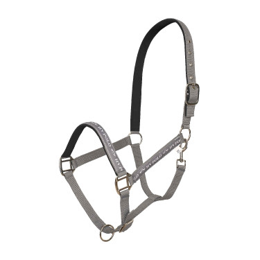 Licol HV Polo Nena Stone Gris