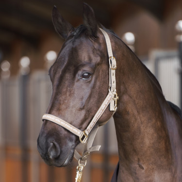 Licol HV Polo Nena Caillou Gris