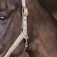 Halster HV Polo Nena Marine Marineblauw