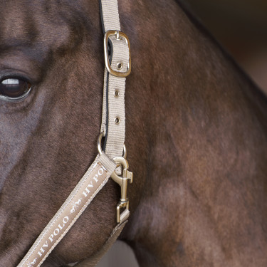 Licol HV Polo Nena Caillou Gris