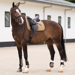 Tapis de selle HV Polo Essential Dressage Paille Marron Tapis de selle HV Polo Essential Dressage Paille Marron
