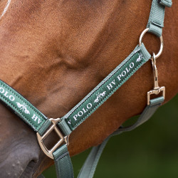 Licol HV Polo Nena Verdure Vert