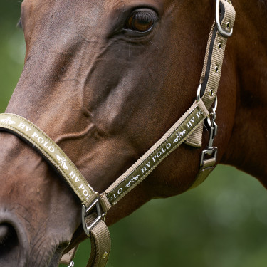 Halster HV Polo Nena Stro Bruin