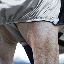 Chemise Anti-Eczéma Imperial Riding Argent Chemise Anti-Eczéma Imperial Riding Argent