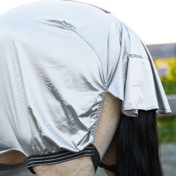 Anti-eczeemdeken Imperial Riding Zilver