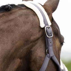 Licol Imperial Riding Jewel Tornado Beige Licol Imperial Riding Jewel Tornado Beige