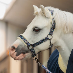 Halster Imperial Riding Petit Halster Imperial Riding Petit
