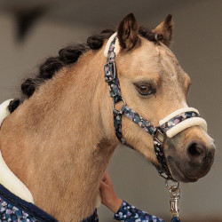 Halster Imperial Riding Petit Halster Imperial Riding Petit