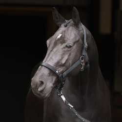 Halster Imperial Riding Rebel Zwart Halster Imperial Riding Rebel Zwart