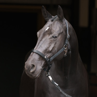 Halster Imperial Riding Rebel Zwart Halster Imperial Riding Rebel Zwart