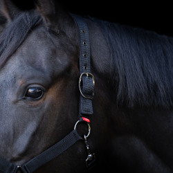 Halster Yearling Imperial Riding Zwart Halster Yearling Imperial Riding Zwart