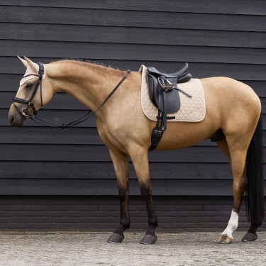 Tapis de selle Euro-Star Coco dressage Tapis de selle Euro-Star Coco dressage