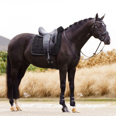 Tapis de selle Imperial Riding Simone dressage Tapis de selle Imperial Riding Simone dressage