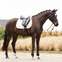 Tapis de selle Imperial Riding Simone GP Latté Marron Tapis de selle Imperial Riding Simone GP Latté Marron