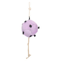 Stalspeelgoed Horse ball Imperial Riding Volley up Ballerina
