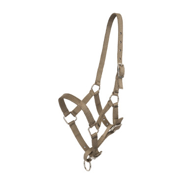 Licol foal HV Polo Nena Paille Marron