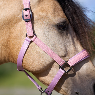Halster Imperial Riding Sparkle Ballerina Halster Imperial Riding Sparkle Ballerina