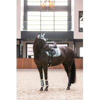 Gamaschen Lovely Imperial Riding Saliegroen