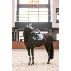 Gamaschen Lovely Imperial Riding Saliegroen