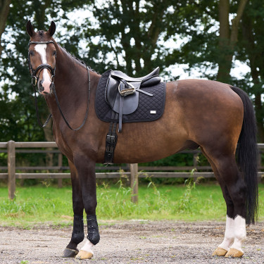 Tapis de selle HV Polo Pro performance dressage Tapis de selle HV Polo Pro performance dressage