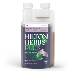 Digest support Plus Competitie Hilton Herbs