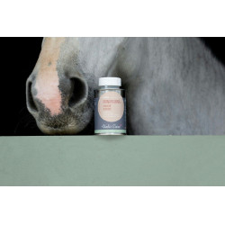 Huile Alodis Care Hoof Choc Huile Alodis Care Hoof Choc