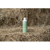 Massageolie Alodis Care Olie Fresh Massageolie Alodis Care Olie Fresh
