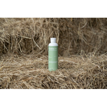 Massageolie Alodis Care Olie Fresh Massageolie Alodis Care Olie Fresh