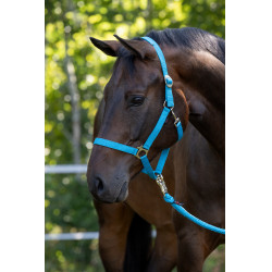 Licol Hippo Covalliero Bleu Licol Hippo Covalliero Bleu