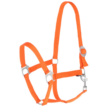 Halster Hippo Covalliero Oranje
