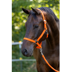 Licol Hippo Covalliero Orange Licol Hippo Covalliero Orange