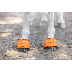Cloche de protection Covalliero Cloche de protection Covalliero