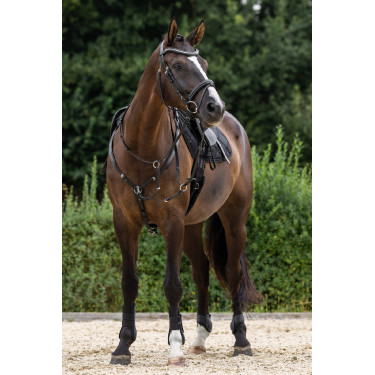 Clincher Hoofdstel Covalliero Zwart