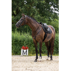 Clincher Hoofdstel Covalliero Zwart