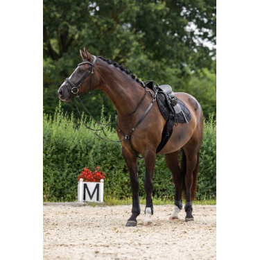 Clincher Hoofdstel Covalliero Zwart