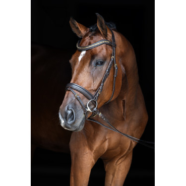 Bridon Clincher Covalliero Marron