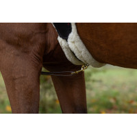 Collier de chasse à LED Covalliero Jaune Collier de chasse à LED Covalliero Jaune