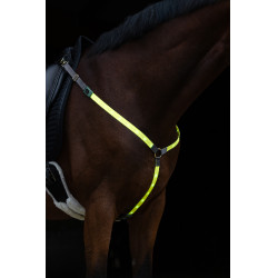 LED-borsttuig Covalliero Geel LED-borsttuig Covalliero Geel