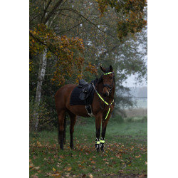 Collier de chasse à LED Covalliero Jaune Collier de chasse à LED Covalliero Jaune