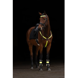 LED-borsttuig Covalliero Geel LED-borsttuig Covalliero Geel