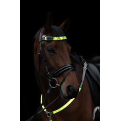 Frontal à LED Covalliero Jaune Frontal à LED Covalliero Jaune