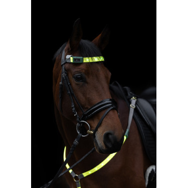 LED Frontriem Covalliero LED Frontriem Covalliero