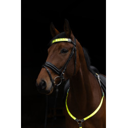 Frontal à LED Covalliero Jaune Frontal à LED Covalliero Jaune